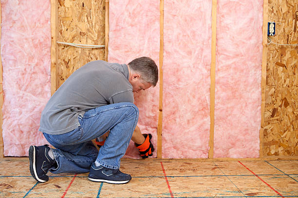 Best Energy Efficiency Insulation in Narberth, PA